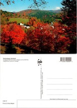 Vermont Fall Autumn Tree Leaves Foliage Farm Village Church Vintage Postcard - £7.57 GBP