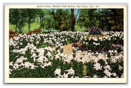 Easter Lilies Mission Cliff Gardens San Diego California CA UNP WB Postcard U7 - £3.06 GBP