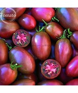 Ukranian Purple Cherry Tomato 100 Seeds Edible Organic Fruits E3743 Fres... - €8,99 EUR Ukranian Purple Cherry Tomato 100 Seeds Edible Organic Fruits E3743 Fres... - €8,99 EUR