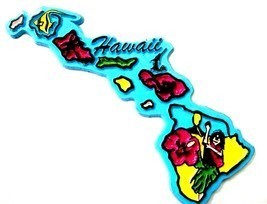 Hawaii 6 Color Fridge Magnet - $5.99