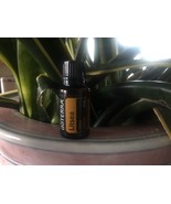 doTERRA Litsea 15 mL Essential Oil NEW &amp; SEALED Exp 10/25 - $28.05 CAD