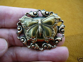 (b-but-101) Butterfly flying pin brass brooch butterflies insect jewelry fly - $17.75