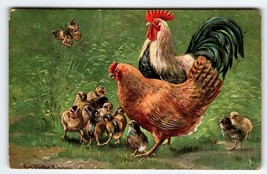 Hen Rooster Baby Chicks Butterfly Signed Muller Germany Wildlife Animals 1908 - £14.86 GBP
