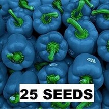 Best 25 SEEDS Blue Bell Peppers Easy to Grow Vegetable Garden Sweet Edible Food - £3.84 GBP