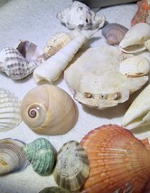 Item image 14