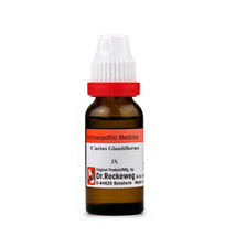 1x Dr. Reckeweg Cactus Glandiflorus 10M Dilution 11ml - £10.77 GBP