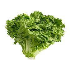 10 Seeds Hongkong Ice Berg Lettuce Item image 4