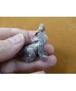Y-COY-27) little gray striped COYOTE wolf wild dog SOAPSTONE stone PERU ... - $8.99