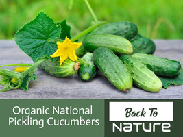 National Pickling Cucumber Seeds - Organic &amp; Non Gmo Cucumber Seeds - Heirloom S - £1.76 GBP