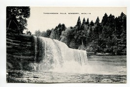 Tahquamenon Falls, Newberry, Michigan - £1.58 GBP