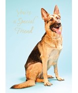 You&#39;re A Special Friend - Friendship Greeting Card - 00782 - $51.41 MXN