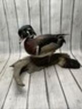 (DUCK-W4) little Duck duckling shed ANTLER figurine Bali detailed carvin... - $106.99