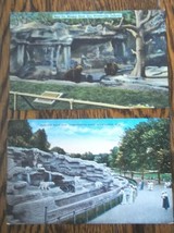 Polar and Brown Bears Mixed Lot 14 Postcards Mostly Linen Uncanceled - $9.89