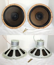 Pair 12&quot; Norelco Philips AD-1255/M7 Dual Cone Woofers Made in Holland ~ ... - £625.80 GBP