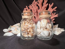 Sea Shells 2 Small Glass Jars Cute - £4.70 GBP
