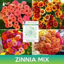 SR Zinnia Flower Mix Seeds - $5.00