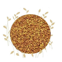 100 Gram Alfalfa seeds بذور البرسيم برسيم - £27.51 GBP