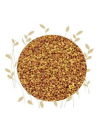 100 Gram Alfalfa seeds بذور البرسيم برسيم - €30,16 EUR