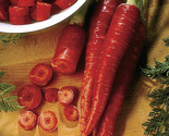 350 Atomic Red Carrot Seeds Fast Shipping - $8.99