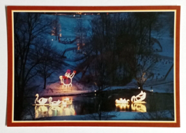 Festival of Lights Christmas Display Snowman Wheeling West Virginia WV Postcard - $7.99