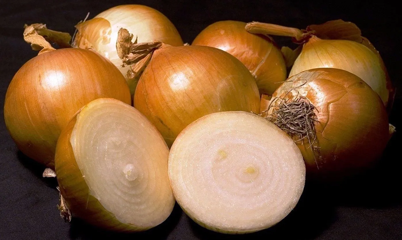 FARM 250 Yellow Sweet Spanish Onion Seeds Non-Gmo Variety Sizes Bulk Seeds - £7.38 GBP