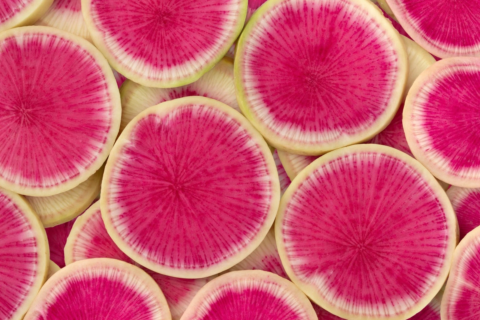 Watermelon Radish Seeds Non-GMO Heirloom, Tracking Included,Backyard Gar... - $4.20