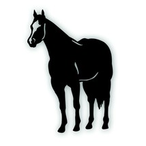 H QUARTER HORSE decal for your tack box farm ranch truck or trailer BLACK - $9.93