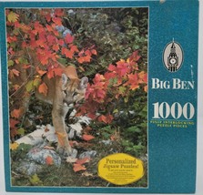 Big Ben 04962-42 Fully Interlock 1000 Piece Personalized Jigsaw Puzzles - $20.97