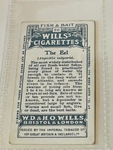 WD HO Wills Cigarettes Tobacco Trading Card 1910 Fish Bait Eel #20 elect... - $19.69