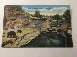 Vintage Postcard Unposted Linen Bear Pit Forest Park St Louis  MO - £1.87 GBP