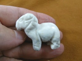 (Y-RAM-573) white Howlite RAM SHEEP gemstone carving FIGURINE gem BIG HO... - $14.01