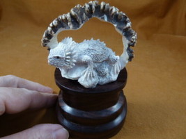 liz-12 baby Horned Lizard of shed ANTLER figurine Bali detailed carving lizards - $86.25