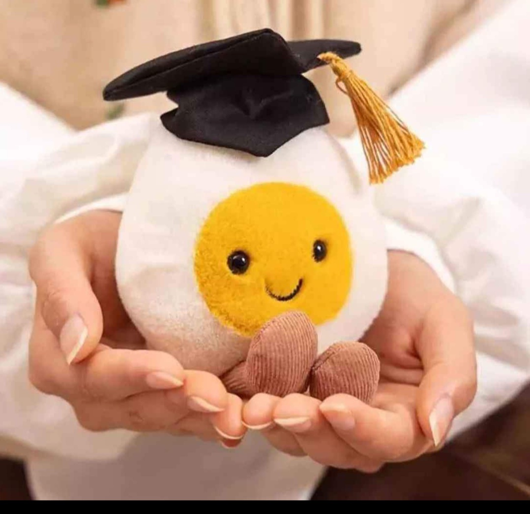 Plush Soft Toy of Jellycat Amuseable Boiled Egg Graduation Toy Gift Pres... - $9.99
