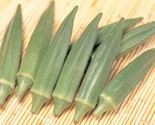 100 Jambalaya (F1) Okra Seeds Extra Early Maturing Abelmoschus Esculentu... - £23.78 GBP