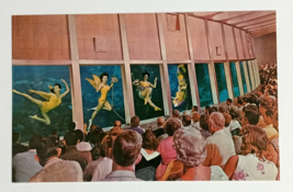 Weeki Wachee Spring of Mermaids Florida Attraction Koppel Cards Postcard 1960s - £7.86 GBP