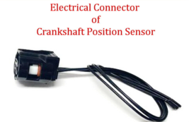 Connector of Crankshaft Position Sensor PC788 Fits: Lexus Toyota 2007-2020 - £9.73 GBP