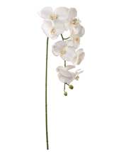 Real Touch Silk Phalaenopsis Orchid 9 Flowers Faux - £22.37 GBP