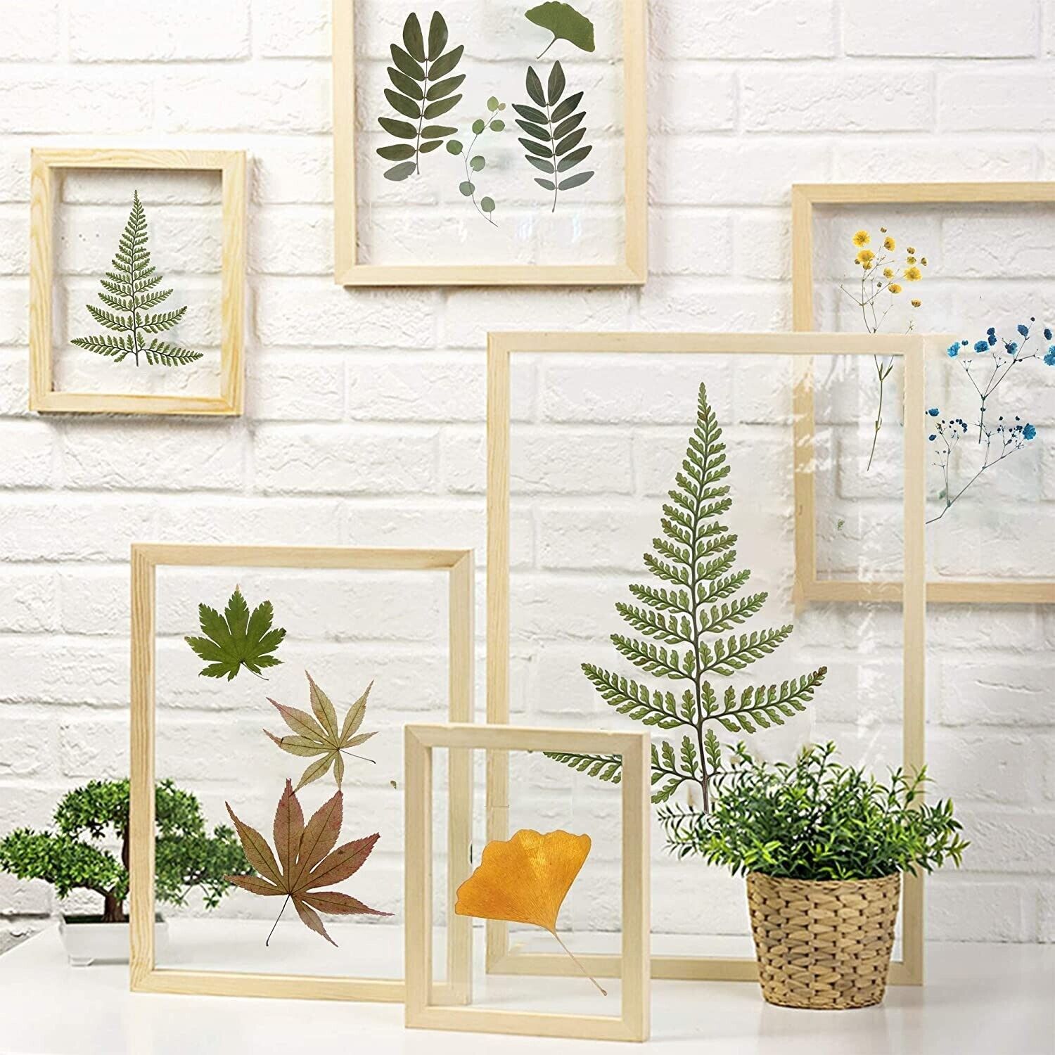 DIY home wall art decor picture frames w/ plant leaves flowers fern eucalyptus - $37.00