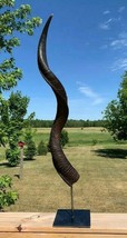 Oiled Kudu Horn on Metal Stand African Antelope Outer Horn Size: About 30&quot; - $153.45