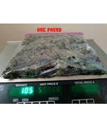 1 pound duckweed live plants for Tilapia food aquaponics Organic tank ra... - £18.16 GBP