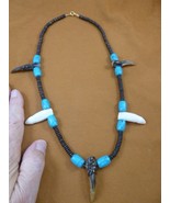 G162-104 1-3/8" Alligator Tooth + 3 T**th TOE turquoise + water buffalo ... - €54,97 EUR G162-104 1-3/8" Alligator Tooth + 3 T**th TOE turquoise + water buffalo ... - €54,97 EUR