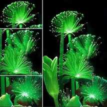 Emerald Fluorescents Night Light Seeds - £9.46 GBP