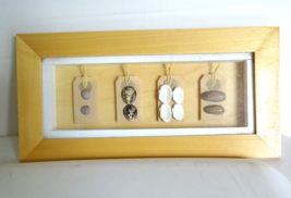 Decorative Wall Hanging Wood Framed in Glass of Sea Shells 12&quot;x6&quot; - $18.99