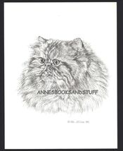 #394 Peke nosed PERSIAN face left CAT print * Pen &amp; ink drawing by Jan J... - $12.50