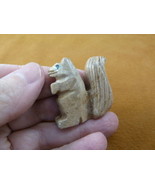 Y-SQU-23) little tan gray SQUIRREL stone carving SOAPSTONE PERU love squ... - €7,34 EUR