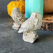 3D Exclusive Harry potter Owl with letter silicone mold Candle Mold - £21.68 GBP