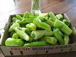 USA Italian Cubanelle Pepper Capsicum Annuum Green Red Vegetable 75 Seeds - £8.75 GBP