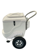 POPSICLES MOBILE CART PALETA CART FRUITS Drinks Cart Branding COOLER - $56,142.59 MXN