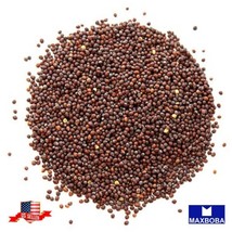 Seeds 100% Pure Natural Mustard Crushed 12 Oz (14G) India Spices Home Garden - £9.19 GBP
