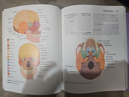 Essentials of Anatomy and Physiology by  Sanders Scanlon Student Workbook Lot Item image 5